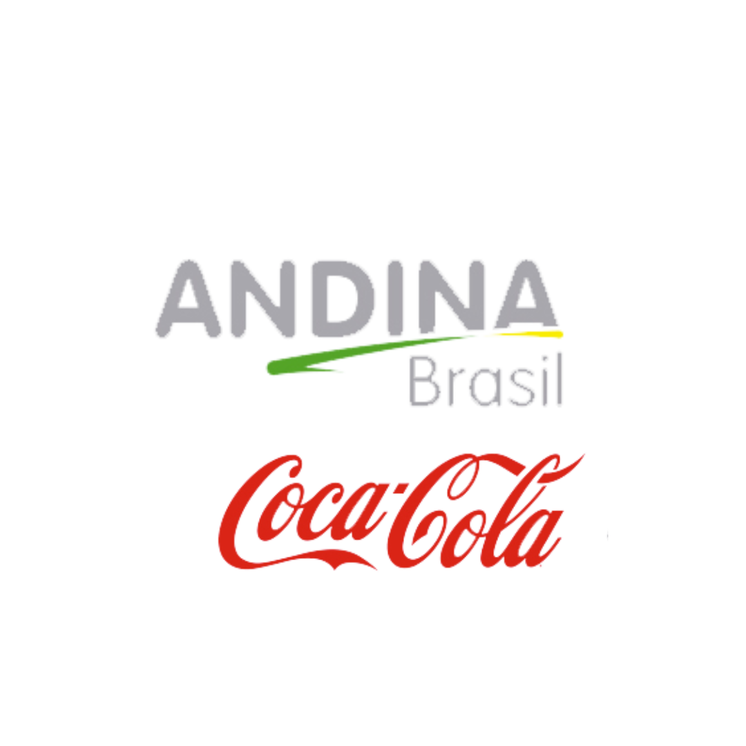Andina do Brasil